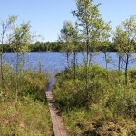 Vadarplats på Västra sidan